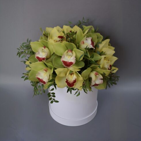 Luxury green cymbidium orchid flower box in a white hat box with fresh greenery, premium orchid arrangement, Toronto flower delivery