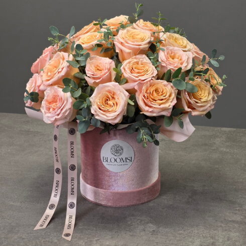 Peach champagne roses in blush velvet luxury flower box with eucalyptus — BLOOMSI Toronto