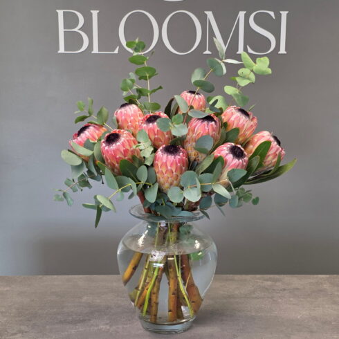 Luxury protea flower arrangement in glass vase with eucalyptus greenery, modern designer bouquet