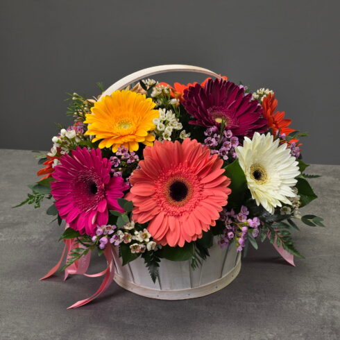 12 colorful gerberas flower basket arrangement Oakville florist