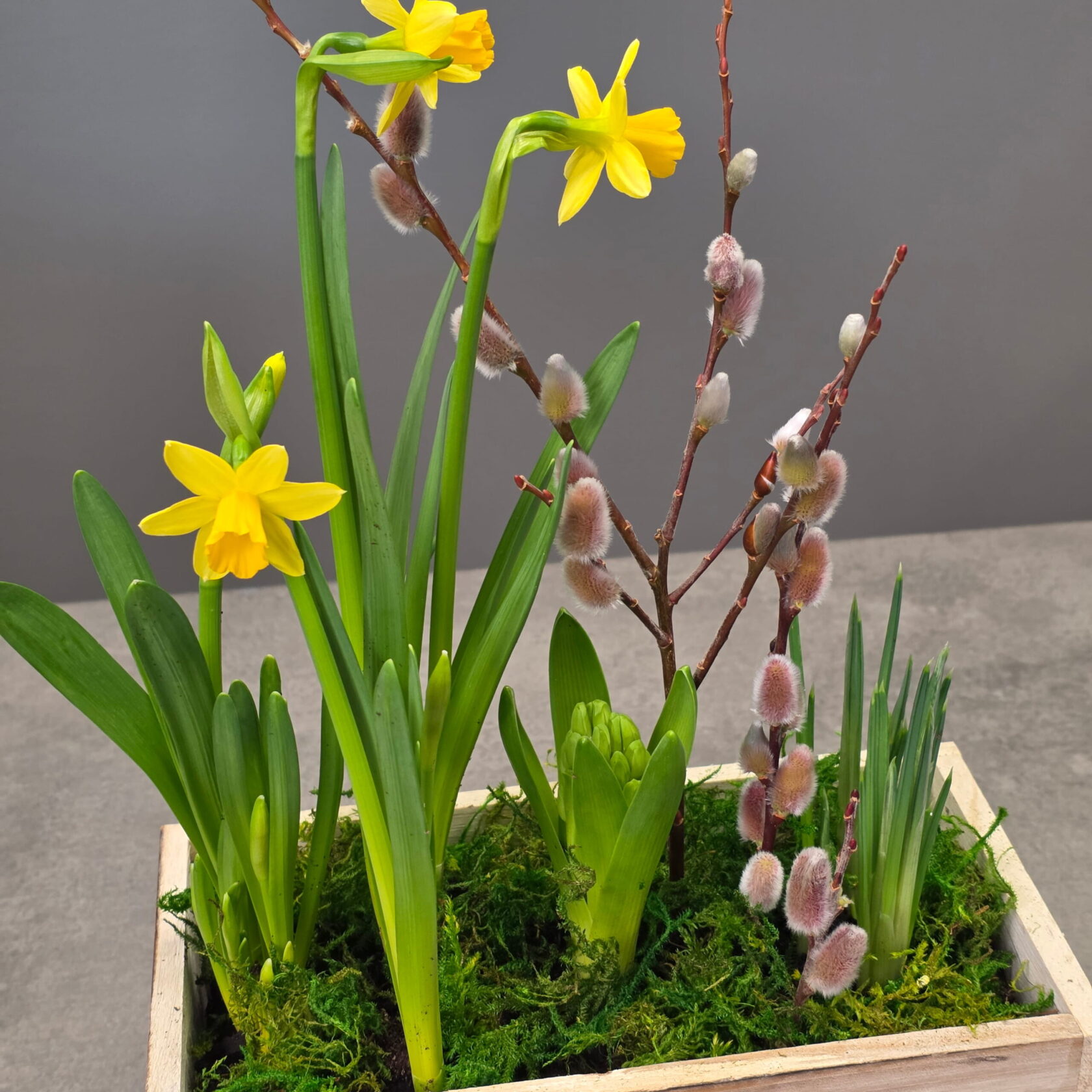 Rustic Spring Bulb Garden Planter