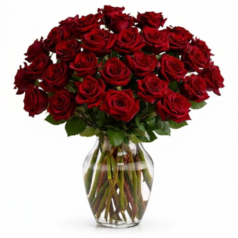 Red Rose Vase Arrangement with 36 roses by Bloomsi