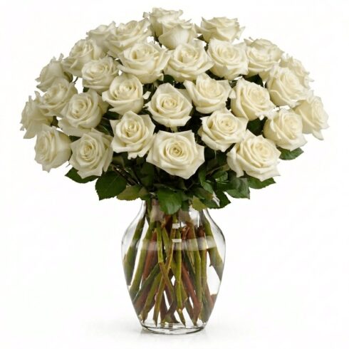 White Rose Vase Arrangement with 36 roses by Bloomsi