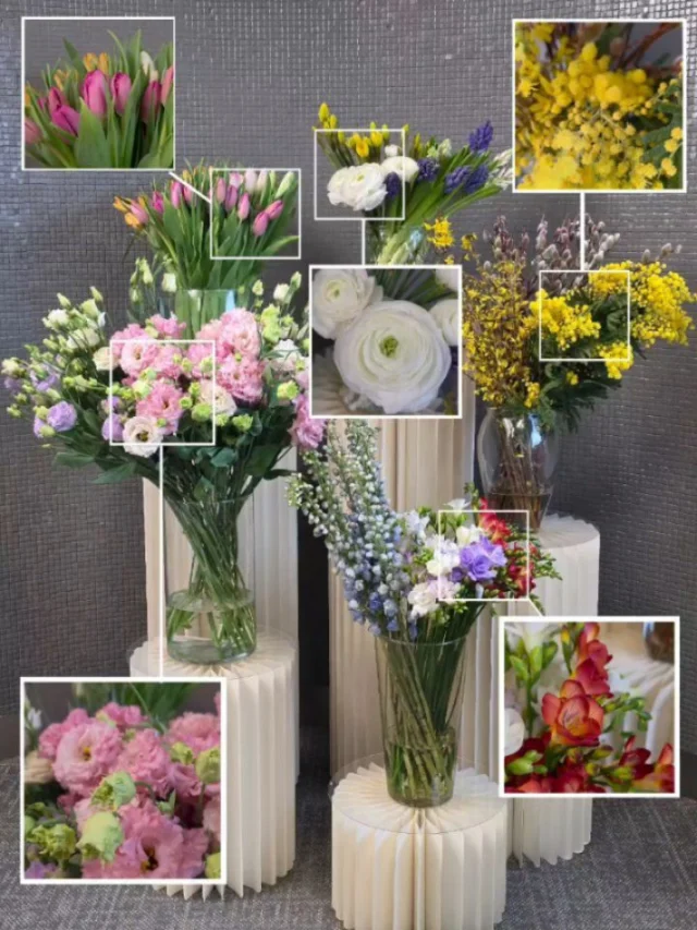 Spring is in the air💞

#bloomsi #oakville  #torontoflowers #floraldesign #flowersofinstagram