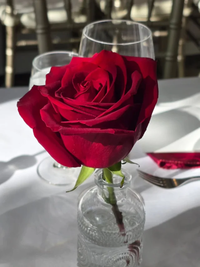 Wedding season is officially open 💍❤️

#bloomsi #torontoflowers #wedding #weddingflowers #flowersofinstagram