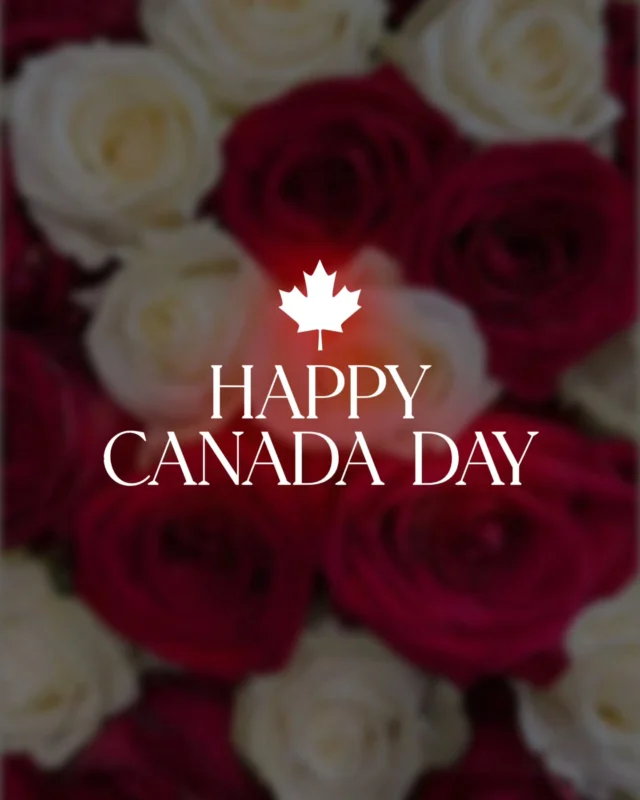 Happy Canada Day🤍❤️
Wishing you a day filled with happiness, beautiful moments, and flowers that brighten every celebration. Thank you for letting BLOOMSI a part of your special moments.
Have a wonderful Canada Day🌸

#canadaday2026 #bloomsi #floraldesign #instaflowers #happycanadaday🇨🇦